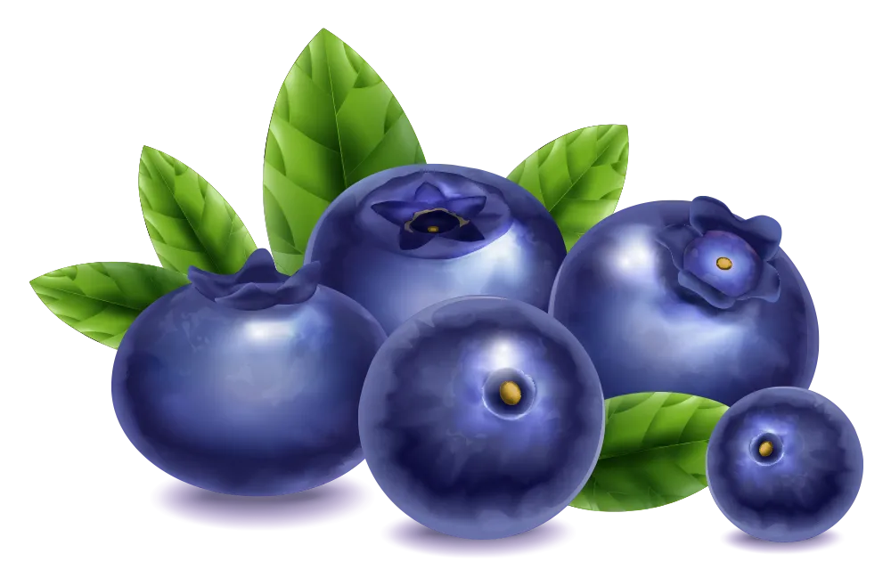 Blueberry