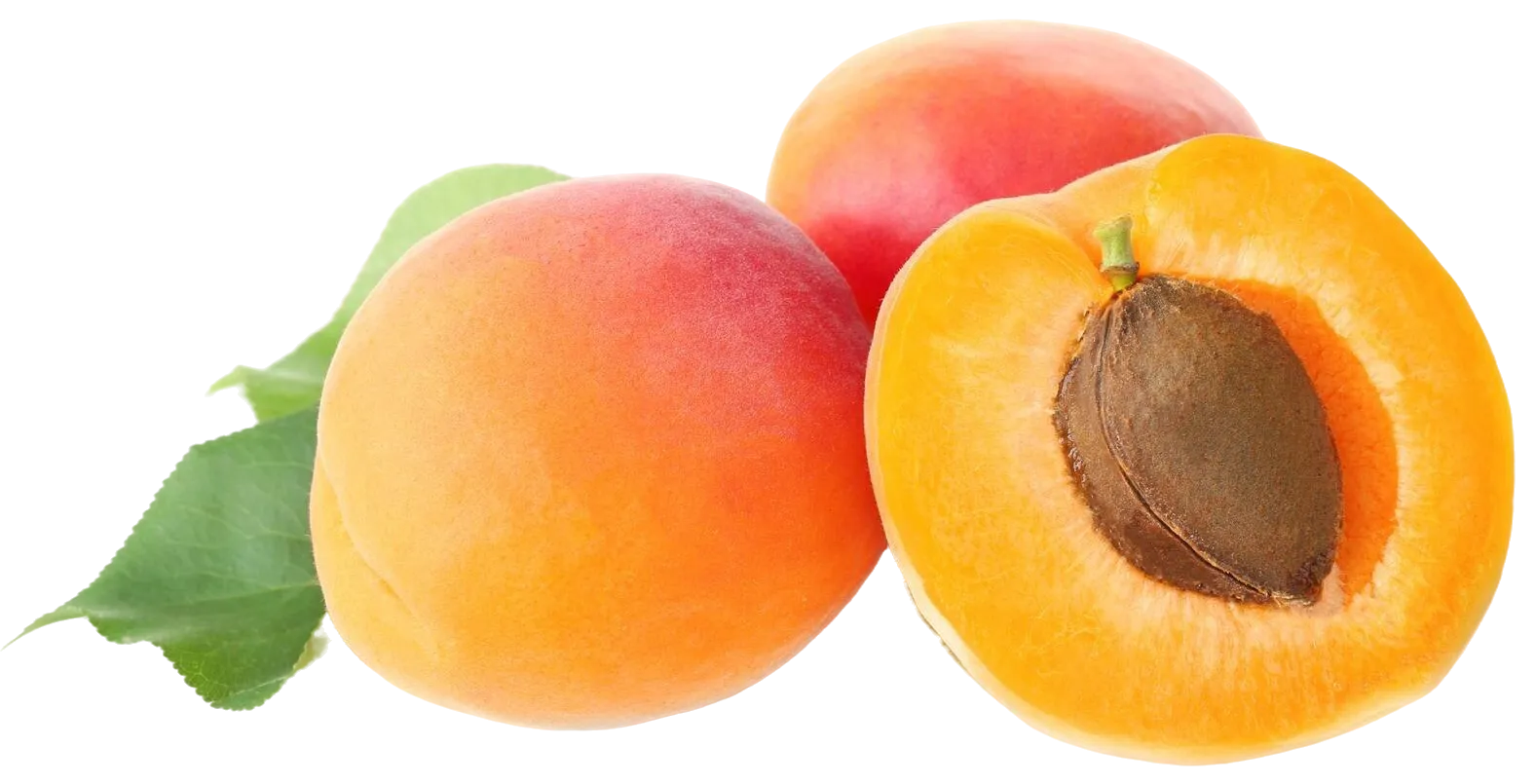 Durazno