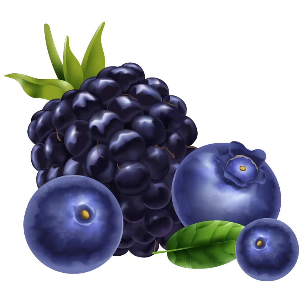 Moras silvestres