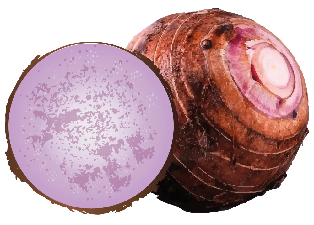 Taro