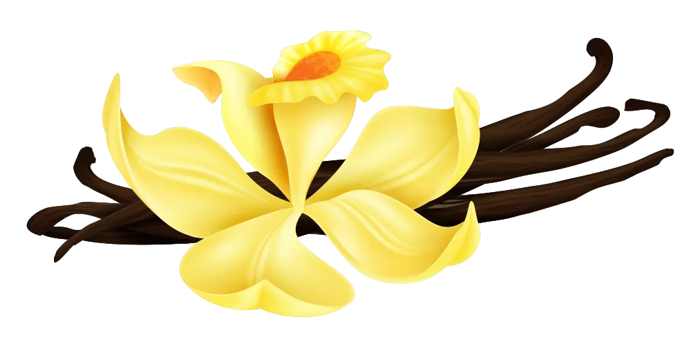 Vainilla